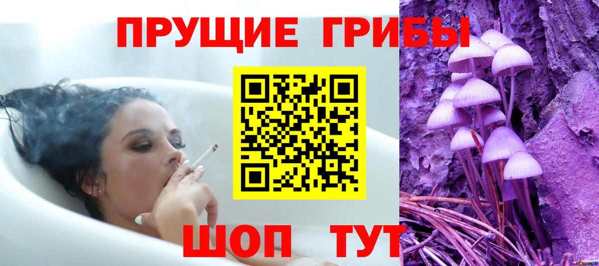 Прохладный  Галлюциногенные грибы мухоморы  Вход с VPN 